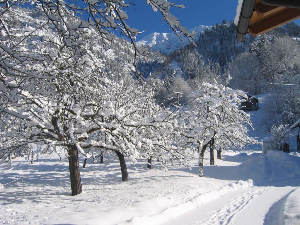 Haus Brigitte Daire Bad Hindelang Dış mekan fotoğraf